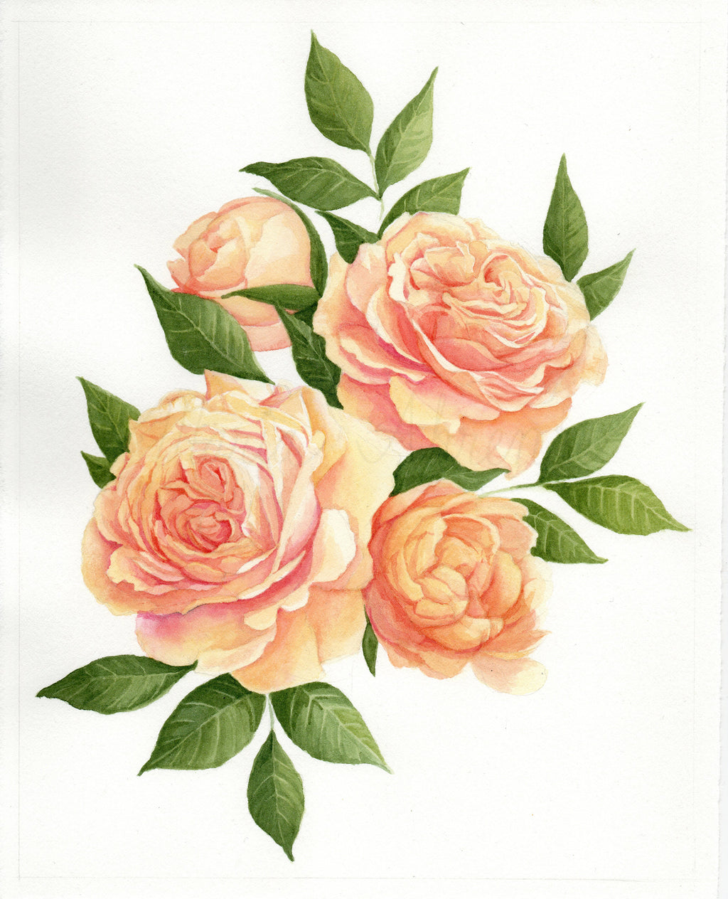 English Roses Original Watercolor Painting