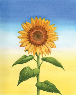 Sunflower Original Watercolor Painting